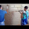 Машинная штукатурка Knauf MP 75 (30 кг)-video