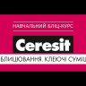Клей для плитки Церезит СМ 11 (25 кг)-video